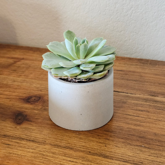 Small Round Pots