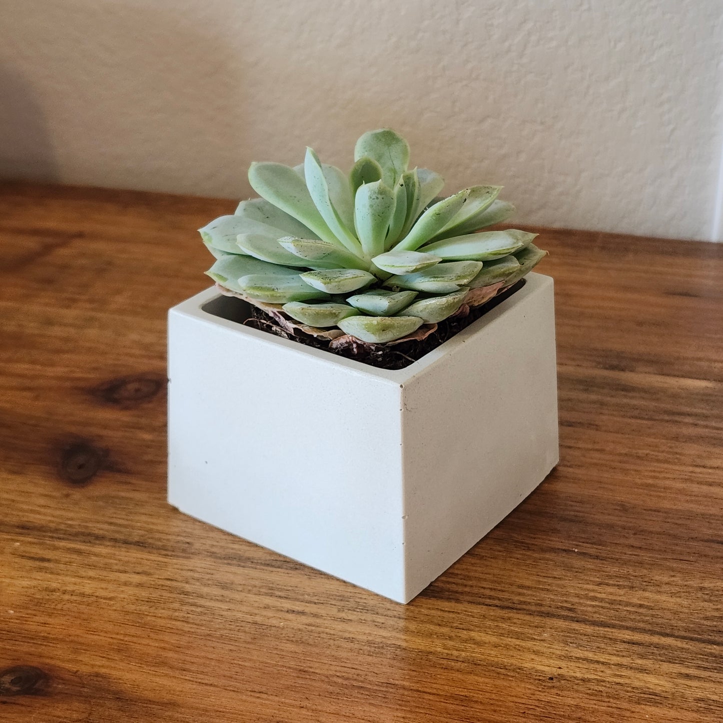 3" Square Pots