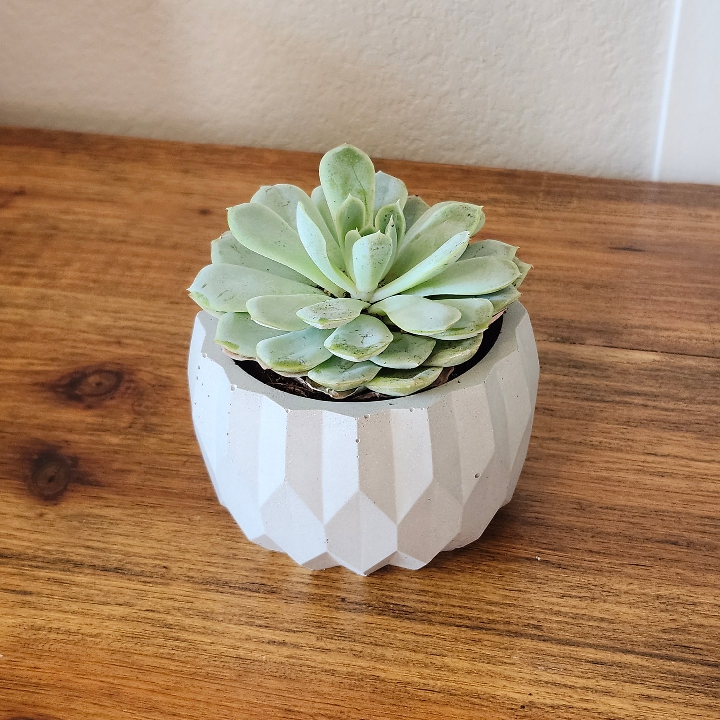 Decorative Pots